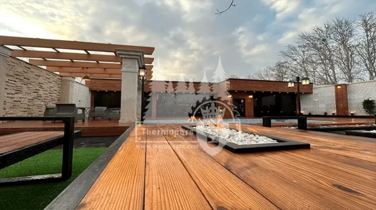 تشخیص ترموود